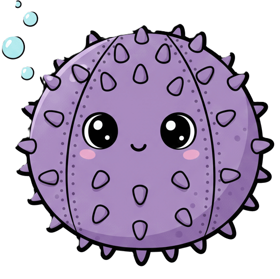 Sea Urchin